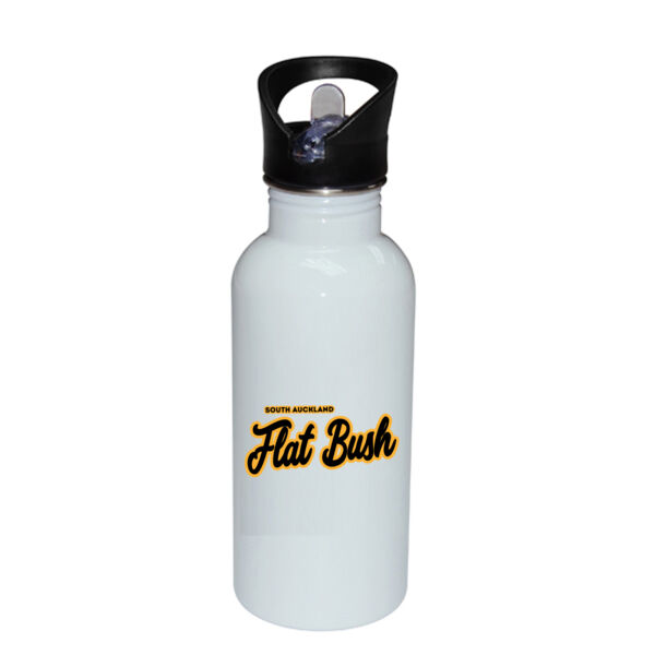 Flat Bush Collection  - Stainless Bottle with Straw Top Thumbnail